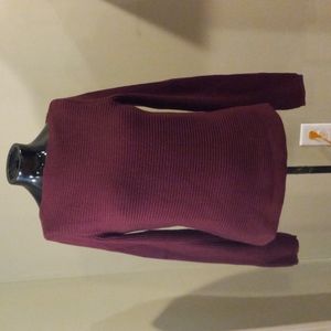 Banana Republic Extra Fine Italian Merino WoolLong Sleeve Sweater